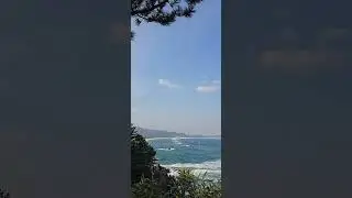 임영웅 노래는 나의 인생