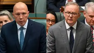 ‘What went wrong’ with the Coalition’s election campaign: Andrew Bolt