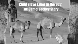 The Horrifying Tale of The GCC Camel Jockeys