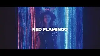 DJ Christopher x Budai - Red Flamingo (Official Music Video)