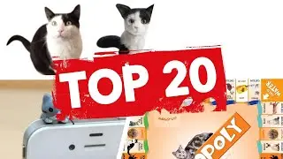 Adorable Gifts For Cat Lovers ✅