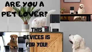 Are You a Dog lover? Petcubes Bites 2 and Play 2 Camera-Speaker
