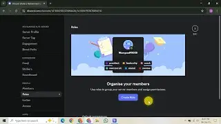 How To Give Discord Admin Permissions