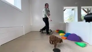 Soho Training Session 11/3