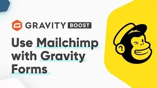 Use Mailchimp with Gravity Forms - Gravity Integration (2022)