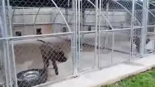 Cabeza Grande Kennel Tour