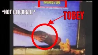 NEW ALLEGED SPIDERMAN NO WAY HOME LEAKS | TOBEY MAGUIRE CONFIRMED LEAK FOOTAGE !