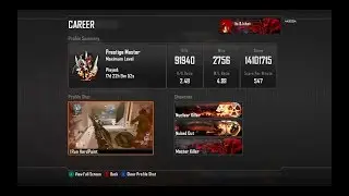 My Black Ops 2 Combat Record
