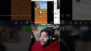 Gym Commentary Goes VIRAL! Hilarious Savage Moments