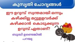 Ep 089 ഈ ഉറുമ്പ് സ്വന്തമായി ഒന്നും...  | കുസൃതി ചോദൃങ്ങൾ | Malayalam Funny Questions
