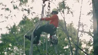Tree Pruning Services for Georgia Residents