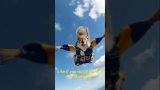 Skydiving with Hero the squirrel #newmusic #song #motivation #skydiving #adventure #inspiration