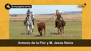 Parada a Raya 161