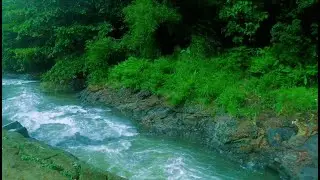 Deep Relaxation with Peaceful River Sounds  Calming Water Flow.