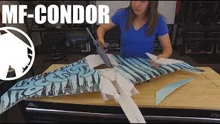 MESArc - The Condor