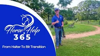 From Halter To Bit Transition | Horse Help - Michael Gascon