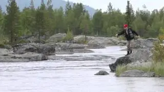 Piteälven Harrfiske
