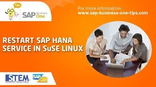 Restart SAP HANA Services in SuSE Linux - SAP B1 (Business One) Tips