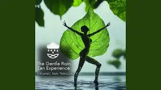 Pilates Breath with Calm Rainfall