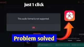 Kinemaster this audio format is not supported problem fix 2024