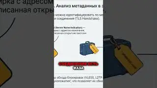 Миф о HTTPS  Как блокируют Snapchat, читая бирку на зашифрованном чемодане
