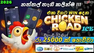 888Starz එකෙන් මෙදාපාර නත්තල් තෑගි 😍| Chicken Road Christmas Version Big Wins | #chickenroad