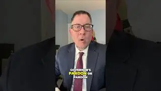 🎥 Guilty Plea vs. No Contest &ndash; What&rsquo;s the Difference? ⚖️