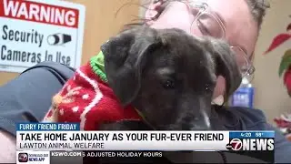 Furry Friend Fridays: 2-month-old Plott Hound, January