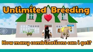 Breeding same horses 4 times  #horsevalley #roblox #Geespace