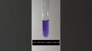 Біуретова реакція (якісна реакція на білки) Biuret qualitive reaction for proteins #chemistry