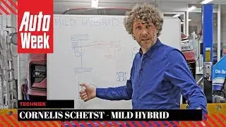Mild Hybrid - Cornelis schetst