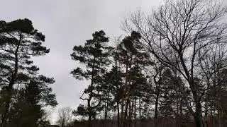 Gentle Winter Breeze