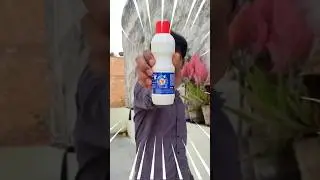 Rin ala ne mere baalo ko gayab kar diya #experiment #science #shorts #viralvideo #viralshorts #magic