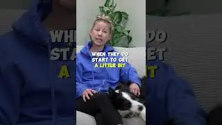 How To PROPERLY Use Your Dog's Name