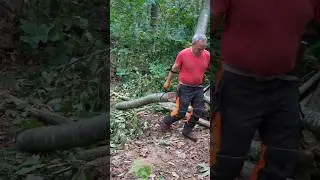 Moving a #Log with Lifting / Logging Tongs