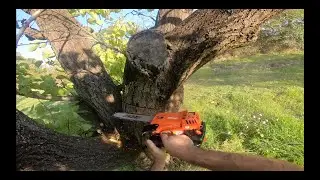 unboxi e recensione motosega echo CS-280TES - unboxi and review chainsaw echo CS-280TES