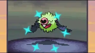 Live Shiny Woobat in Black after 1630 Res!!