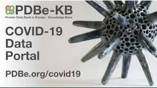PDBe-KB COVID-19 Data Portal - find all structure data for SARS-CoV-2 proteins