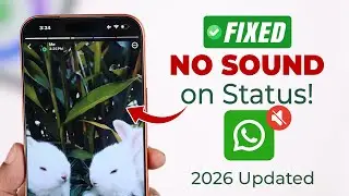 How to Fix NO SOUND on WhatsApp Video Status! [Audio Problem]