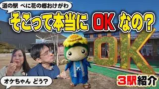 【埼玉道の駅制覇③】最新！道の駅べに花の郷おけがわ＆いちごの聖地へ！幻のグルメ“いがまんじゅう”に衝撃!?わんこと車中泊旅
