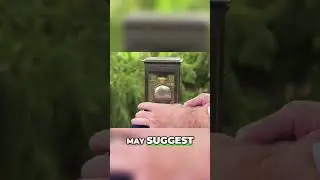 full video? click above...👆🏻🥰ANTIQUE ROADSHOW💸