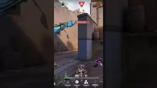 then pheonix was bullied by his team🚒#vipervalorant #lineups #aimguide #shortsfeed #viral #giveaway