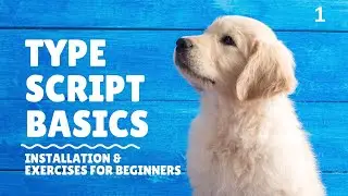 TypeScript: How to install it & Exercises for Beginners | Learn TypeScript