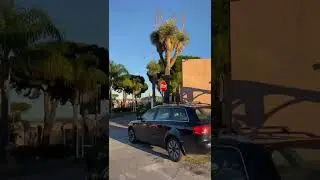 Video desde el Mar hasta el Balcón