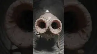 POV: You hear breathing in the vents 👃😱 #shorts