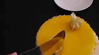 Cake Server Cake Cutter