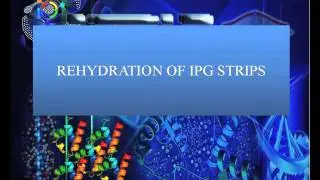 Lab session 2 2 Protein pre fractionation using Off gel fractionator