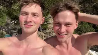 Do gay twins have same taste on boys?  