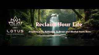 Best Alcohol Addiction Rehab | Lotus Life center #addictiontreatment #wellness