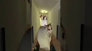I tried to save the cat from the dogs Nextbots Gmod